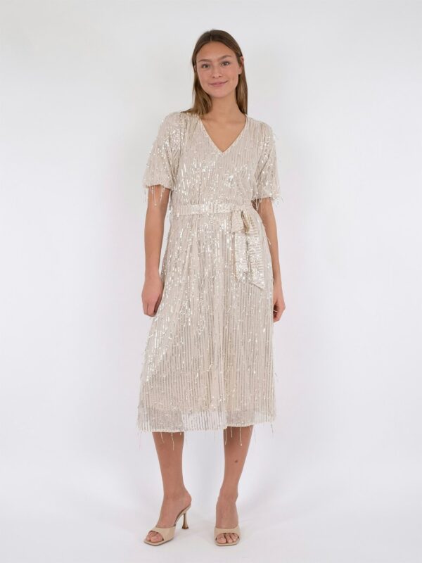 Benita Sequins Dress